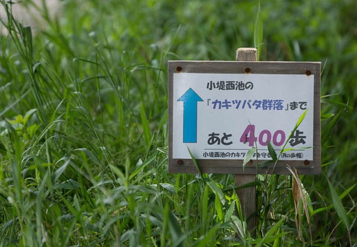 201405121017-DSC09215.jpg
