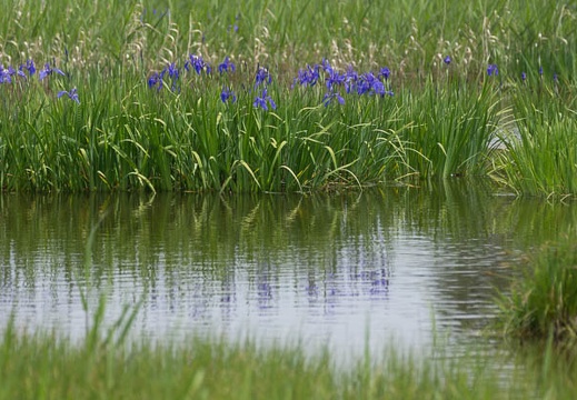 201405121027-DSC09227.jpg