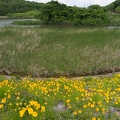 201405121226-DSC09830N6.jpg