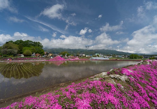 201405130953-DSC00019N6.jpg