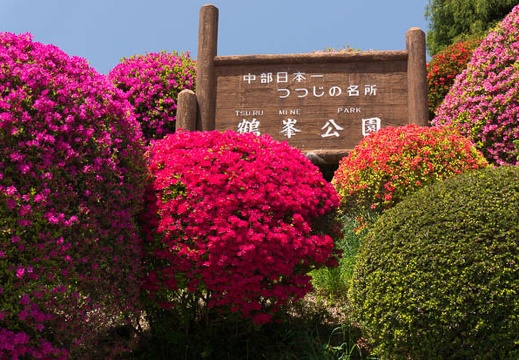 201405131124-DSC00160N6.jpg