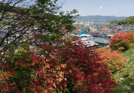 201405131208-DSC00294N6.jpg