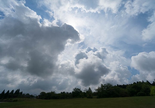 201405160917-DSC00371N6.jpg