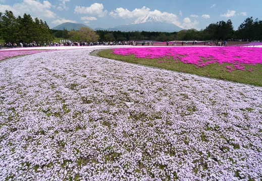 201405161149-DSC00506N6.jpg