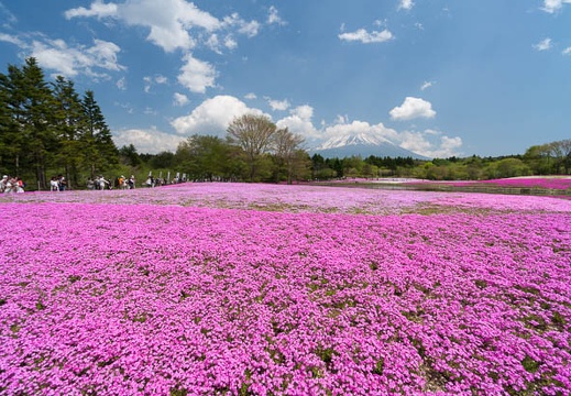 201405161243-DSC00657N6.jpg