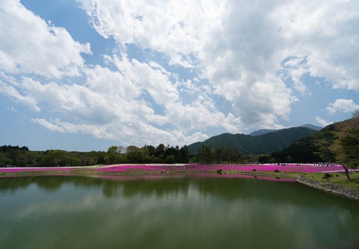 201405161250-DSC00679N6.jpg