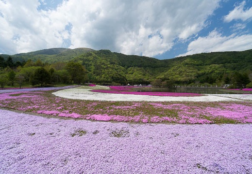 201405161301-DSC00695N6.jpg