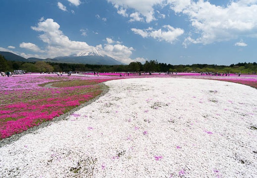 201405161315-DSC00738N6.jpg