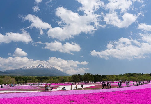 201405161321-DSC00760N6.jpg