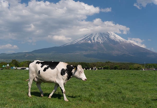 201405161453-DSC00871N6.jpg