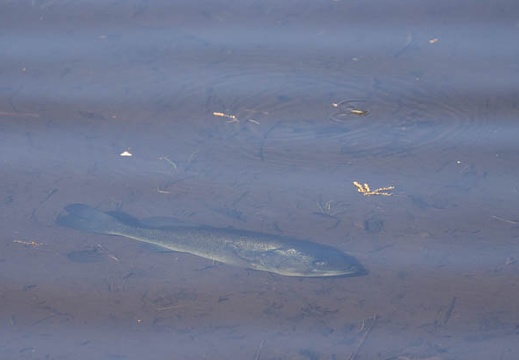 201405161600-DSC09771.jpg