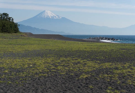 201405170735-DSC01092N6.jpg