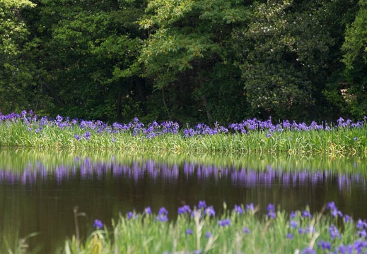 201405191038-DSC00183.jpg