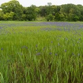 201405191140-DSC01535N6.jpg