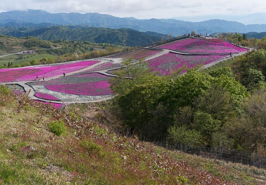 201405230753-DSC01578N6.jpg