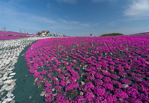 201405230807-DSC01618N6.jpg
