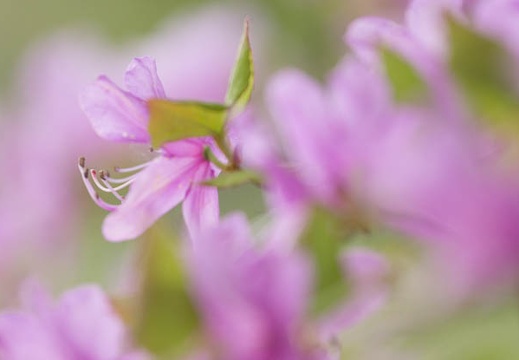 201405230959-DSC00569.jpg