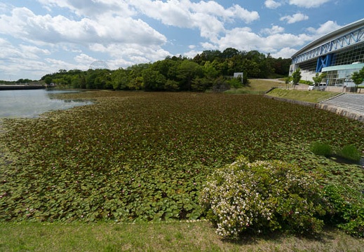 201405231318-DSC01914N6.jpg