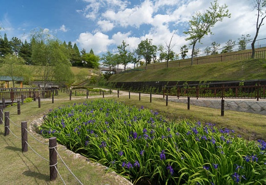 201405231450-DSC01987N6.jpg