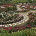 201405271330-DSC02867N6.jpg