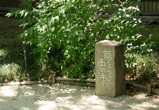 201405291129-DSC01421R10.jpg