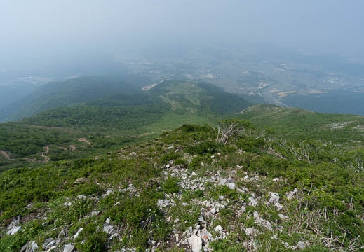 201405300947-DSC02968N6.jpg