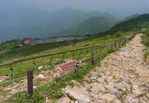 201405301133-DSC03038N6.jpg