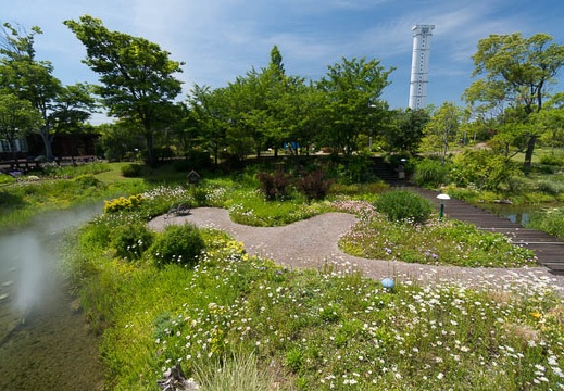 201406011036-DSC03442N6.jpg