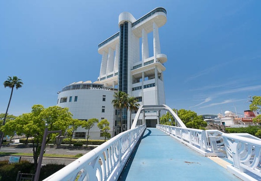 201406011159-DSC03510N6.jpg