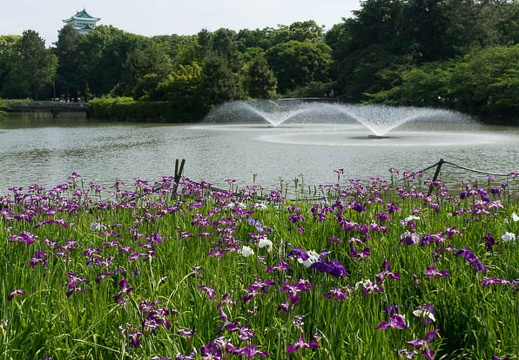 201406031449-DSC03649N6.jpg