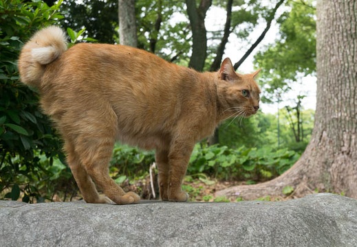 201406031605-DSC03721N6.jpg