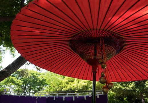 201406081053-DSC01979R10.jpg
