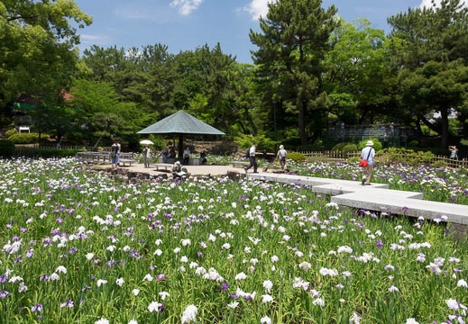 201406081231-DSC02298R10.jpg