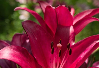 201406091146-DSC04214N6.jpg