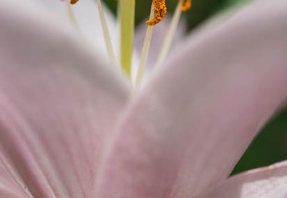 201406091150-DSC04231N6.jpg
