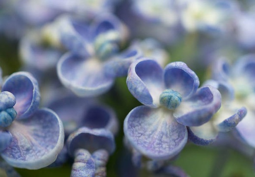 201406111051-DSC04639N6.jpg