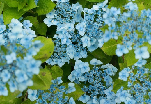 201406111116-DSC04691N6.jpg