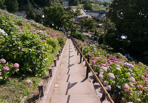 201406130752-DSC04779N6.jpg