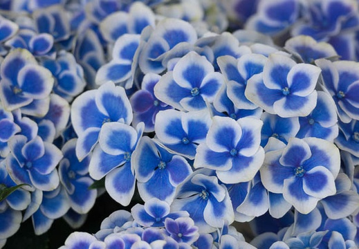 201406130911-DSC04466.jpg