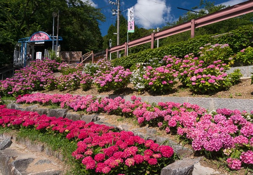 201406130920-DSC04917N6.jpg