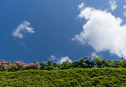 201406130945-DSC04926N6.jpg