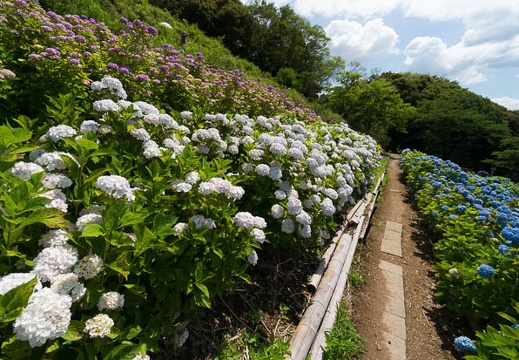 201406130953-DSC04970N6.jpg