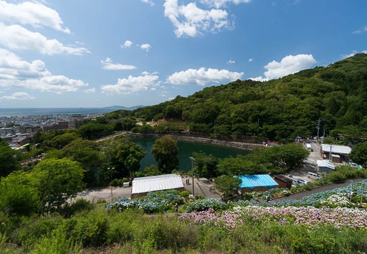 201406131002-DSC04977N6.jpg