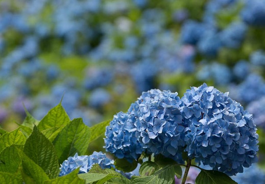 201406131032-DSC04573.jpg