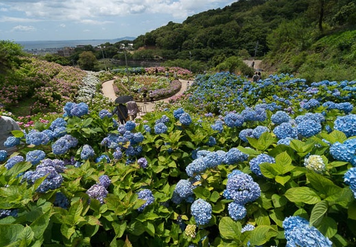 201406131033-DSC05024N6.jpg