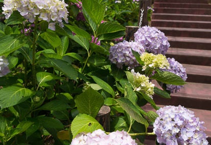 201406131107-DSC05074N6.jpg