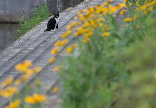 201406141559-DSC04967.jpg