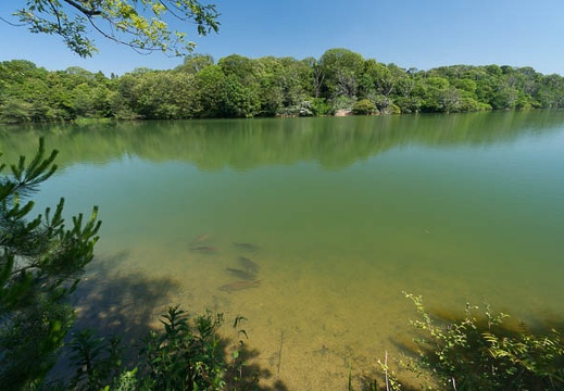 201406150935-DSC05678N6.jpg