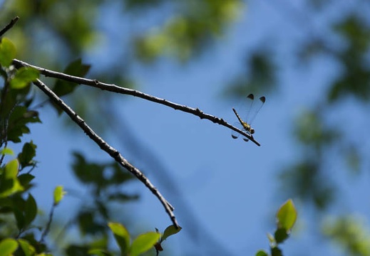 201406151012-DSC05036.jpg