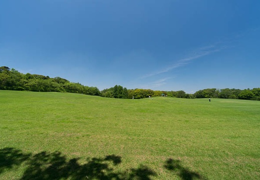 201406151055-DSC05698N6.jpg